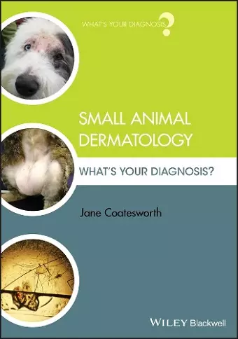 Small Animal Dermatology cover