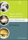 Small Animal Dermatology cover
