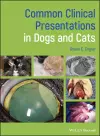 Common Clinical Presentations in Dogs and Cats cover