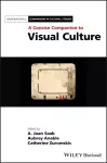 A Concise Companion to Visual Culture cover