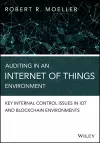 Auditing in an Internet of Things Environment cover