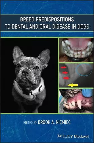 Breed Predispositions to Dental and Oral Disease in Dogs cover