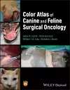 Color Atlas of Surgical Oncology in Dogs and Cats cover