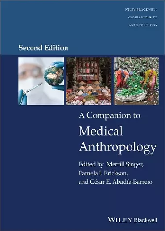 A Companion to Medical Anthropology cover