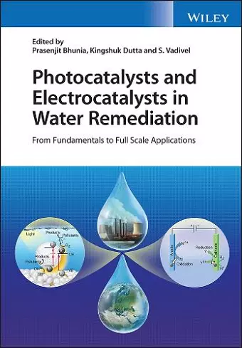 Photocatalysts and Electrocatalysts in Water Remediation cover