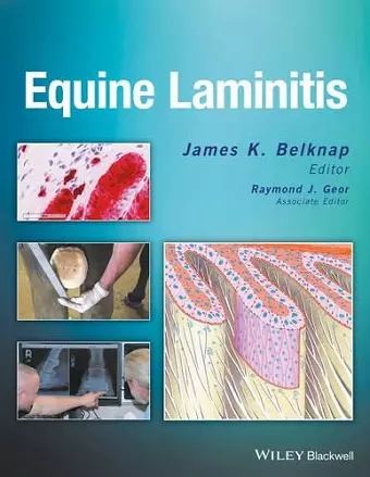 Equine Laminitis cover