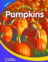 World Windows 2 (Science): Pumpkins cover