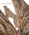 Living in the Environment cover