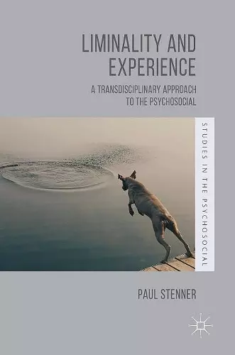 Liminality and Experience cover