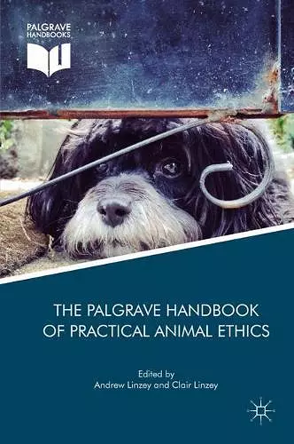 The Palgrave Handbook of Practical Animal Ethics cover