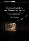 Working-Class Boys and Educational Success cover