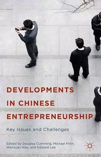 Developments in Chinese Entrepreneurship cover