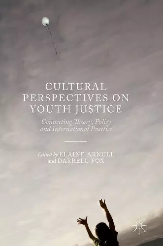 Cultural Perspectives on Youth Justice cover