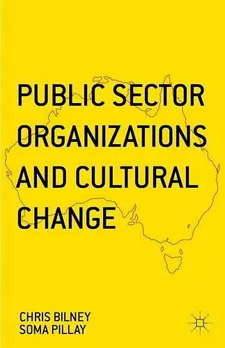 Public Sector Organizations and Cultural Change cover