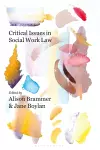 Critical Issues in Social Work Law cover