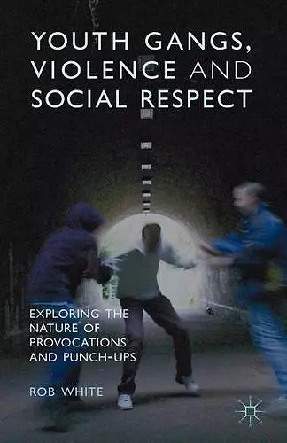 Youth Gangs, Violence and Social Respect cover