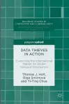 Data Thieves in Action cover