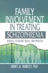 Family Involvement in Treating Schizophrenia cover