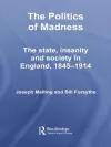 The Politics of Madness cover