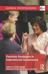 Feminist Strategies in International Governance cover