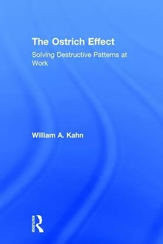 The Ostrich Effect cover