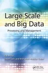 Large Scale and Big Data cover