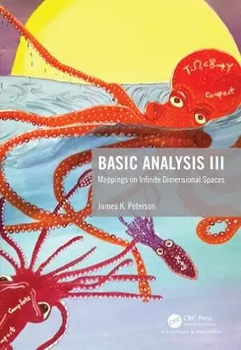 Basic Analysis III cover