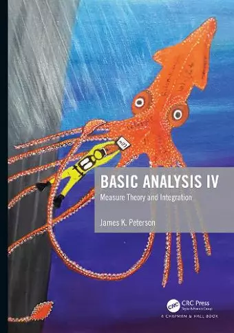 Basic Analysis IV cover