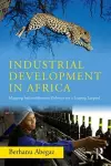 Industrial Development in Africa cover