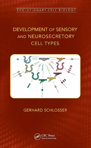 Development of Sensory and Neurosecretory Cell Types cover