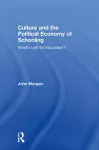 Culture and the Political Economy of Schooling cover