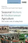 Seasonal Workers in Mediterranean Agriculture cover