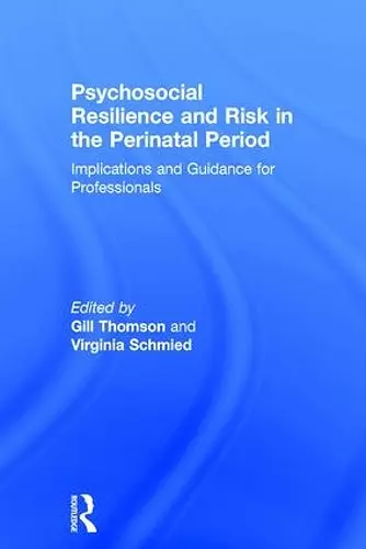 Psychosocial Resilience and Risk in the Perinatal Period cover