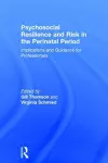 Psychosocial Resilience and Risk in the Perinatal Period cover