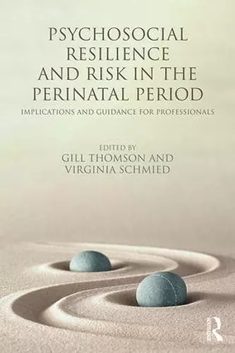 Psychosocial Resilience and Risk in the Perinatal Period cover