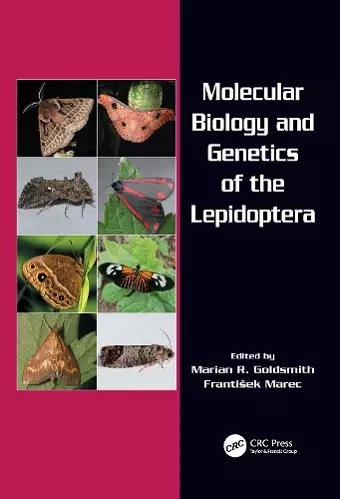 Molecular Biology and Genetics of the Lepidoptera cover