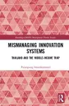 Mismanaging Innovation Systems cover