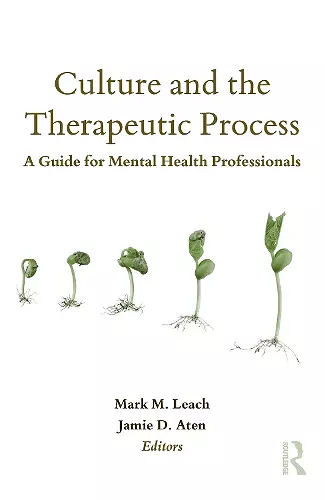 Culture and the Therapeutic Process cover