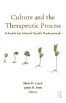 Culture and the Therapeutic Process cover