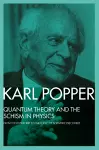 Quantum Theory and the Schism in Physics cover