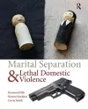 Marital Separation and Lethal Domestic Violence cover