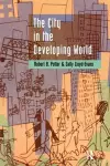 The City in the Developing World cover