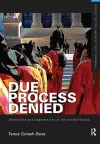 Due Process Denied: Detentions and Deportations in the United States cover