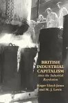 British Industrial Capitalism Since The Industrial Revolution cover