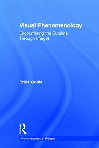 Visual Phenomenology cover