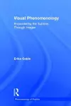 Visual Phenomenology cover