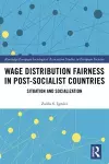 Wage Distribution Fairness in Post-Socialist Countries cover