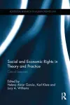 Social and Economic Rights in Theory and Practice cover