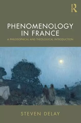 Phenomenology in France cover