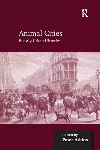 Animal Cities cover